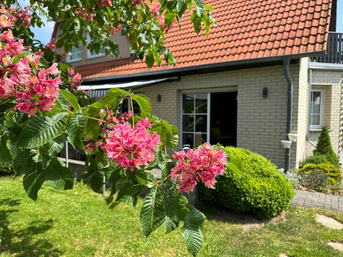 Familienurlaub Im Gruenen Apartment Вернигерод Екстериор снимка